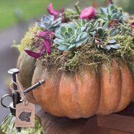 Succulent arrangement in a pumpkin with a small glass mister