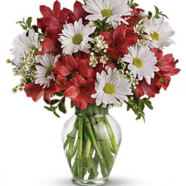 Red alstroemeria and white daisies in a clear glass vase