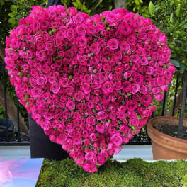 Heart-shaped arrangement of hot pink roses