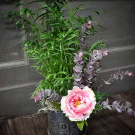 Pink peony in a decorative pot with tall green foliage