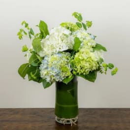 Hydrangea arrangement in a tall green glass vase