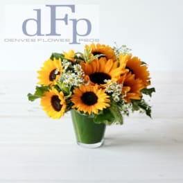 Sunflower bouquet in a green vase with small white filler flowers