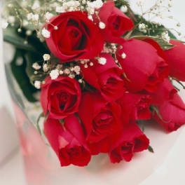 Bouquet of red roses with baby's breath in clear wrap