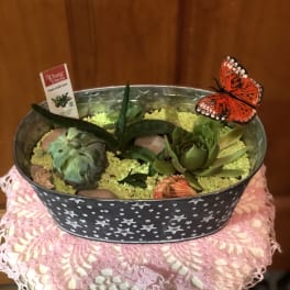 Succulent planter in a star-patterned tin with a butterfly pick