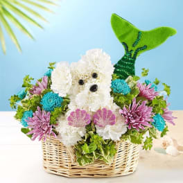 Flower basket arranged as a dog with white and purple blooms