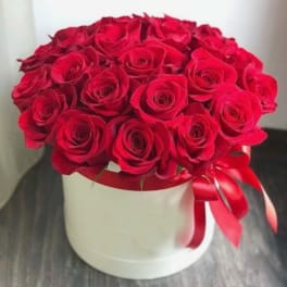 Round box of tightly arranged red roses with a red ribbon bow on a white container