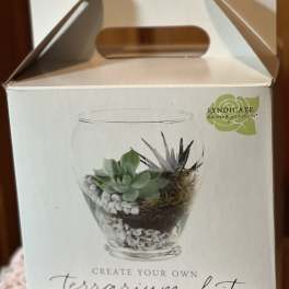 Terrarium kit box with succulents pictured on the front