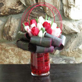 Bouquet of red and white tulips in a red glass vase