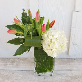 Tulips and a white hydrangea in a clear glass vase