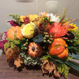 Cornucopia