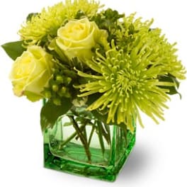 Yellow roses and green spider mums in a green glass vase
