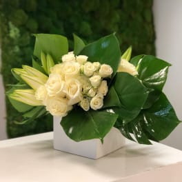 Compact arrangement of ivory roses and lilies with large glossy green leaves in a white cube vase