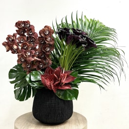 Tall tropical arrangement with brown orchids, dark calla lilies, and lush greenery in a black vase