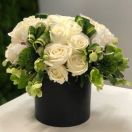 Low round arrangement of white roses and green accents in a black cylinder vase