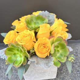 Yellow roses and green succulents in a white square vase