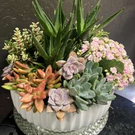 Succulent arrangement in a white ribbed planter with pink blooms