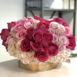 Low round arrangement of hot pink and pale pink roses with ivory hydrangeas in a gold cylinder vase