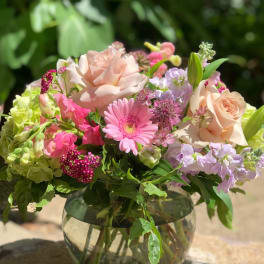 Pink collection