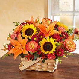 Fields of Europe for Fall Basket
