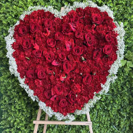 Solid heart