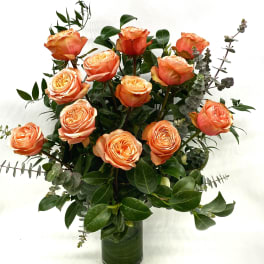 Peach Roses