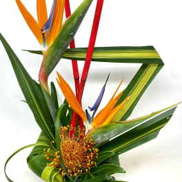 Tropical floral arrangement with bird of paradise in a black pot