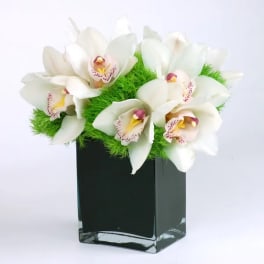 White orchids arranged in a black square vase with bright green filler