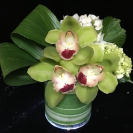 Low arrangement of green cymbidium orchids and white hydrangeas in a glass vase with looped green leaves
