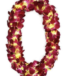 A lei made of deep pink and yellow orchid petals