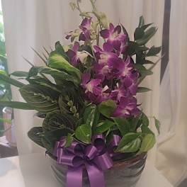 Purple orchids arranged in a dark bowl with a ribbon bow
