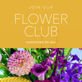 Flower club promo with a colorful floral arrangement below