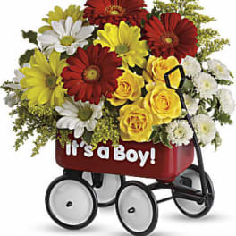Mixed bouquet in a red wagon with "It's a Boy!" text