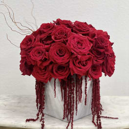 Compact arrangement of red roses with trailing red accents in a gray cube vase on a small table