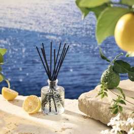 Glass reed diffuser with black sticks and lemon branches