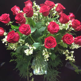 Amour Red Roses