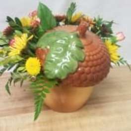 Acorn Beauty