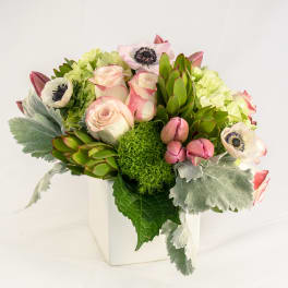Pink roses and white anemones in a white square vase