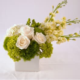 White roses and green flowers arranged in a white square vase