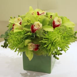Green floral arrangement with orchids and chrysanthemums in a square vase
