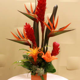 Tropical flower arrangement with red ginger and orange bird of paradise in a square vase