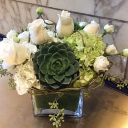 White roses and green hydrangeas arranged around a dark green succulent in a glass vase
