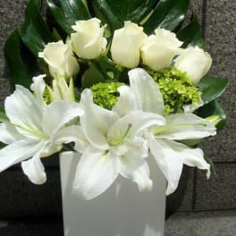 White roses and lilies in a white vase with dark green leaves