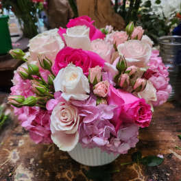 Pink and white roses arranged in a white vase