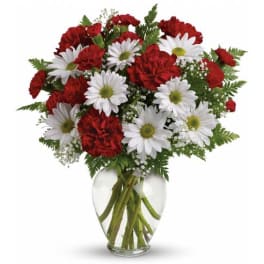 Red carnations and white daisies in a clear glass vase