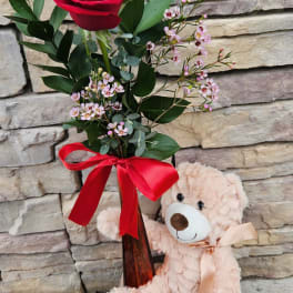 Single red rose in a vase with a teddy bear beside it