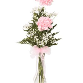 Pink carnations in a clear glass vase with baby's breath and a pink ribbon