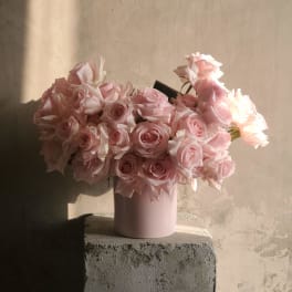Pretty in PInks