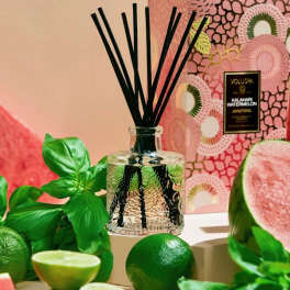 Glass reed diffuser with black sticks beside watermelon slices and green leaves