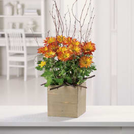 Orange and yellow chrysanthemum arrangement in a square box