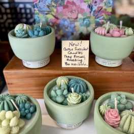 Assorted cactus-shaped candles in pastel bowls on a display table